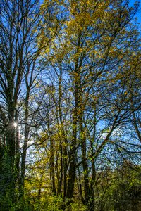 Autumn light environment