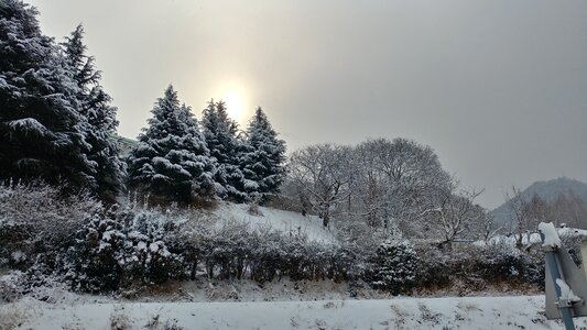 Winter nature rural