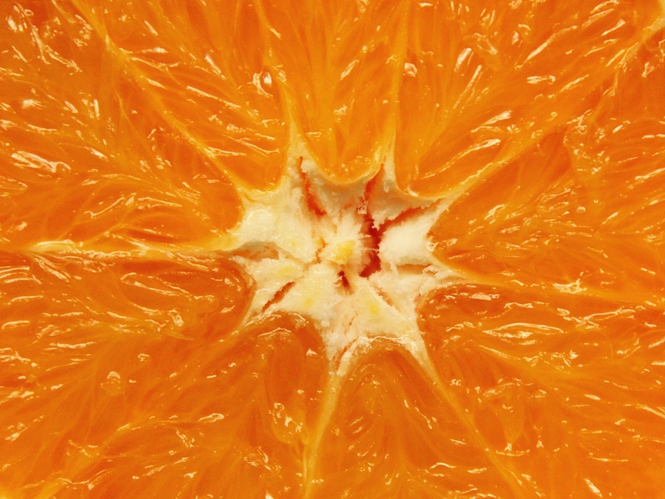 Citrus fruits fresh healthy