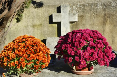 Tomb mums faith