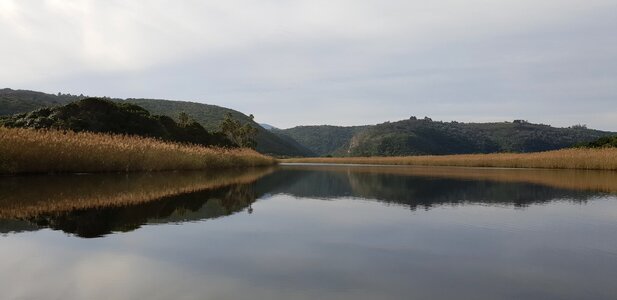 Natural beauty reflection