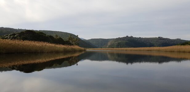 Natural beauty reflection photo