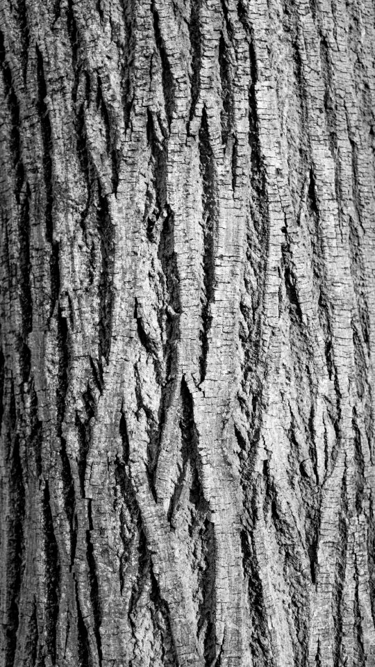 Curves furrow line