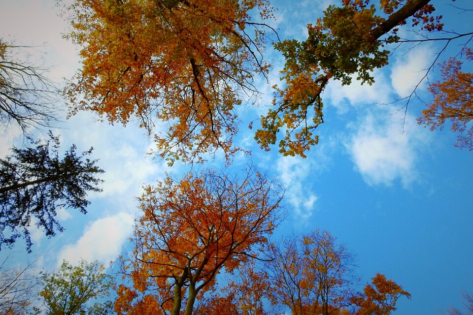 Sky landscape clouds