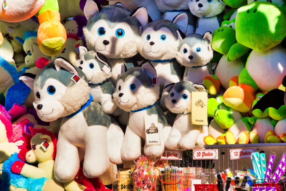 Fabric dogs lot shop free market