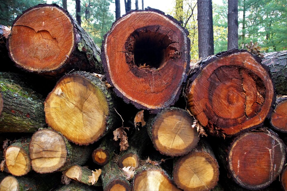 Wood texture pile