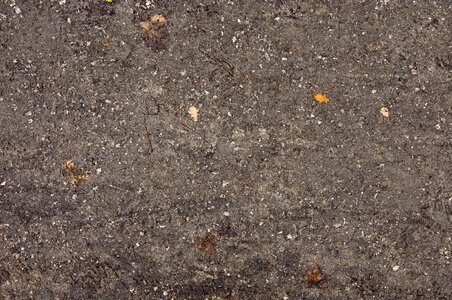 Leaves mud dirty