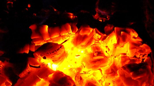 Embers temperature fever