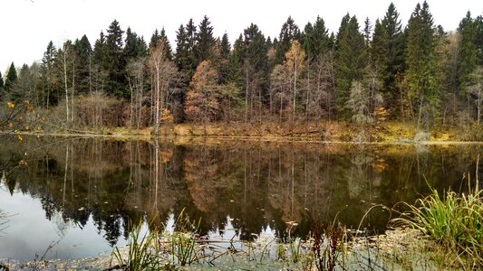 Autumn lake reflection photo