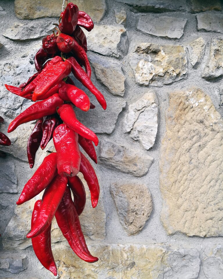 Huerta vegetables food