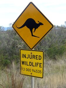 Shield kangaroo warning