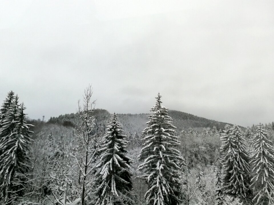 Czech republic giant mountains nature
