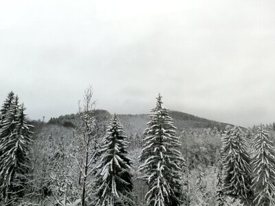 Czech republic giant mountains nature