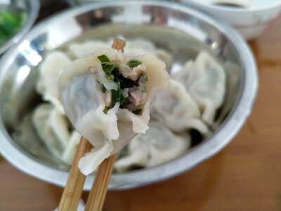 Food dumplings china