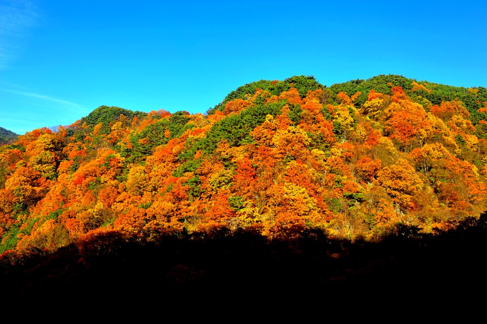 Colorful nature in autumn
