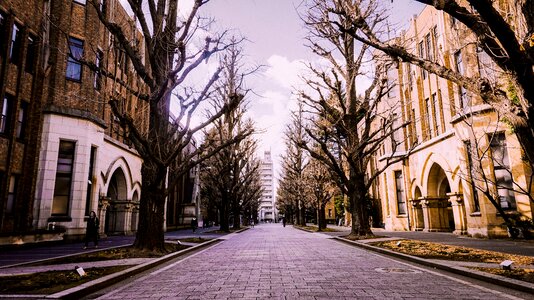 Japan university of tokyo building photo