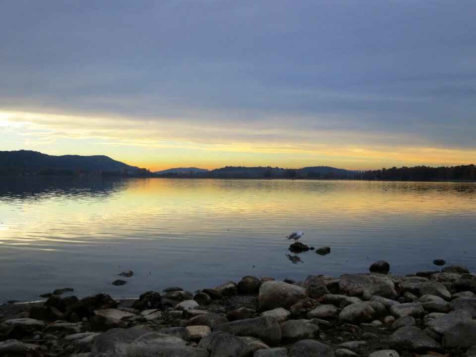 Water mood near shore
