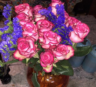 Romantic blooming pink