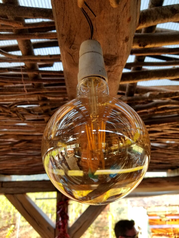 Wood winery