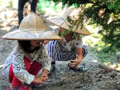 Naive 專 note hats