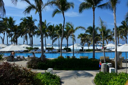 Vacation summer tropical