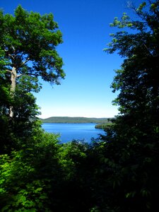 Landscape outdoors woods photo