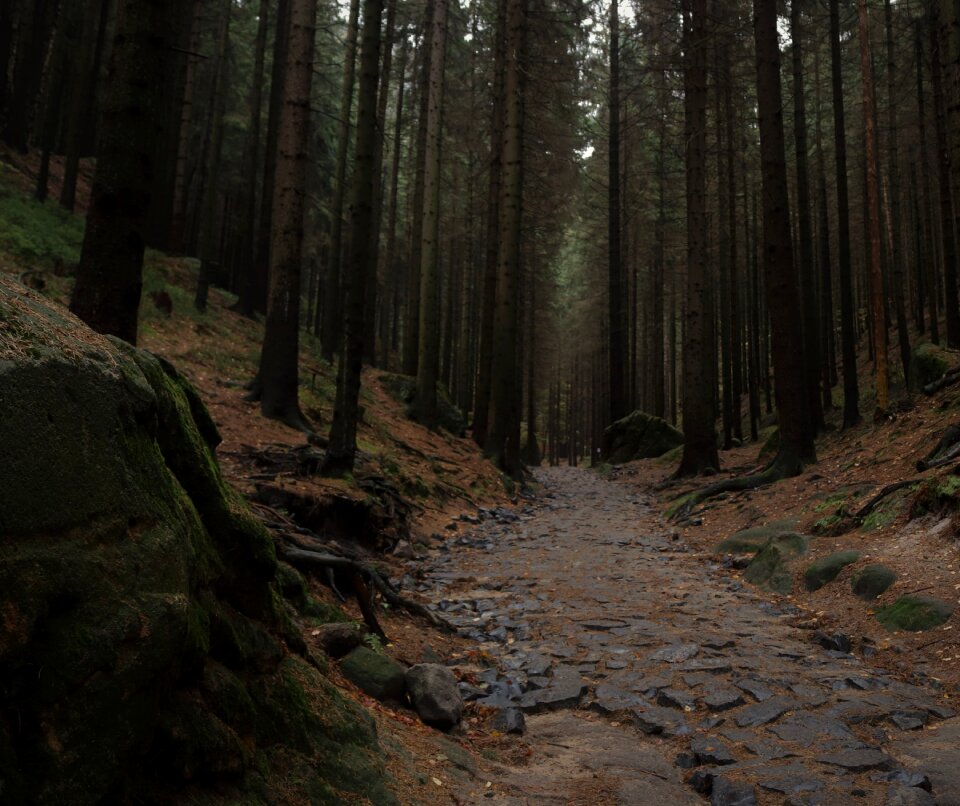 Europe narnia destinations