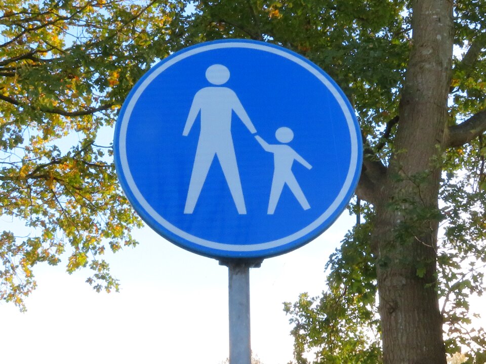 Attention street forest