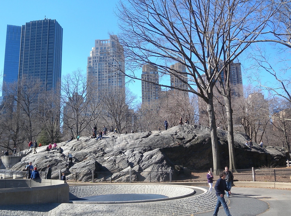 Buildings trees skyline