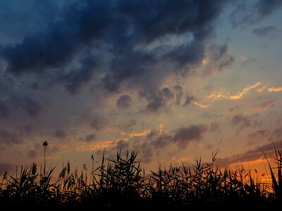Nature ukraine mood