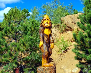 Wood sculpture colorado