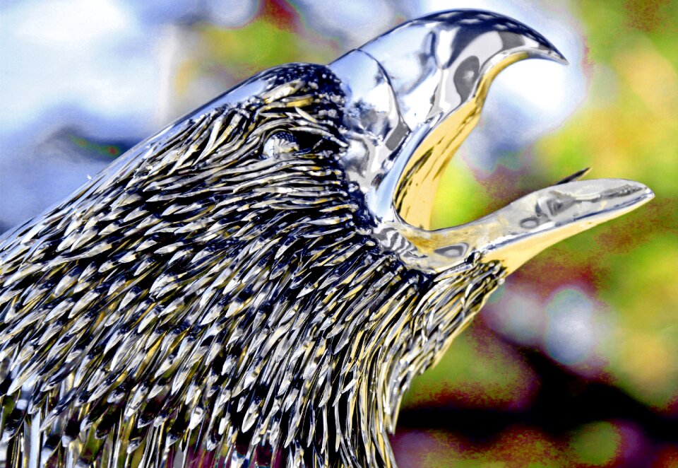 Polished stainless eagle eagle art