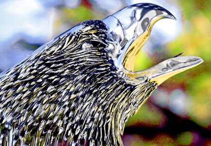 Polished stainless eagle eagle art