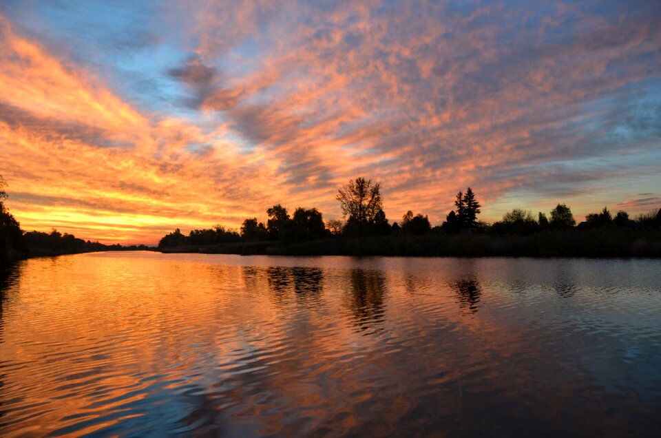 Nature water water surface photo