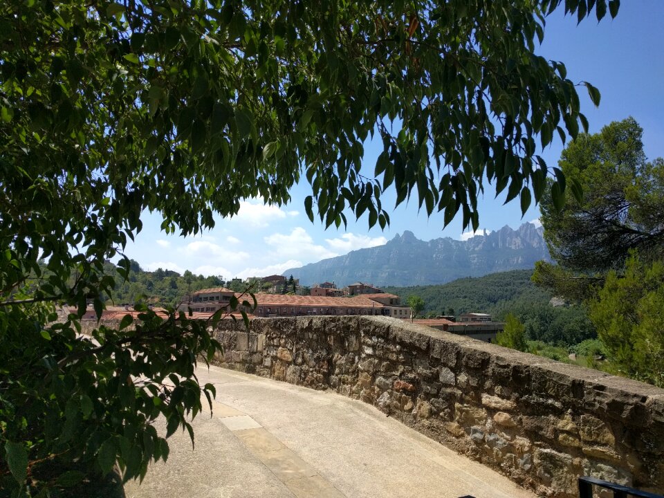Landscape nature path