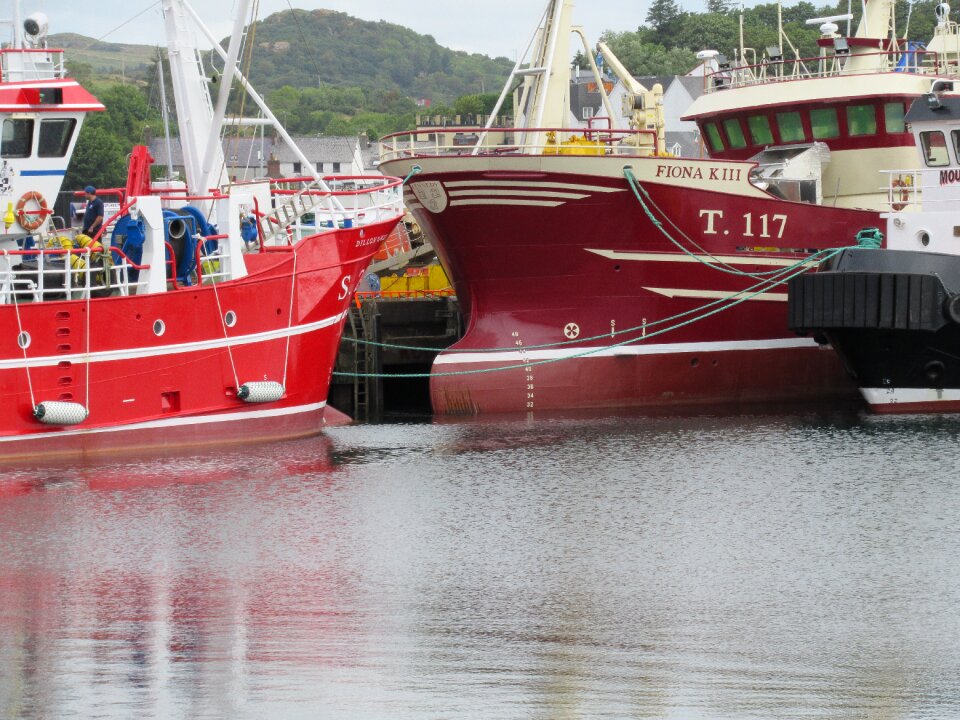 Fishing boats photo