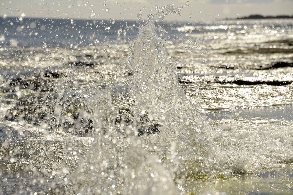 Nature summer coast