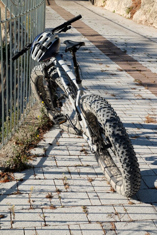 Bicycle tour cycling leisure