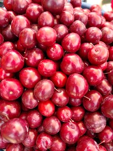 Agriculture fresh food