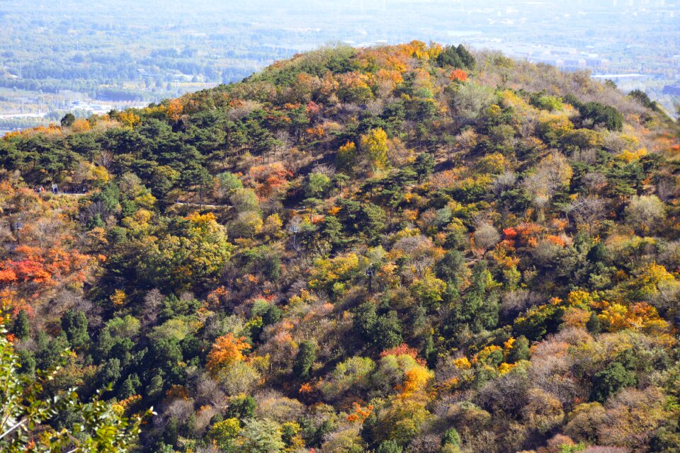 Park hill overlooking