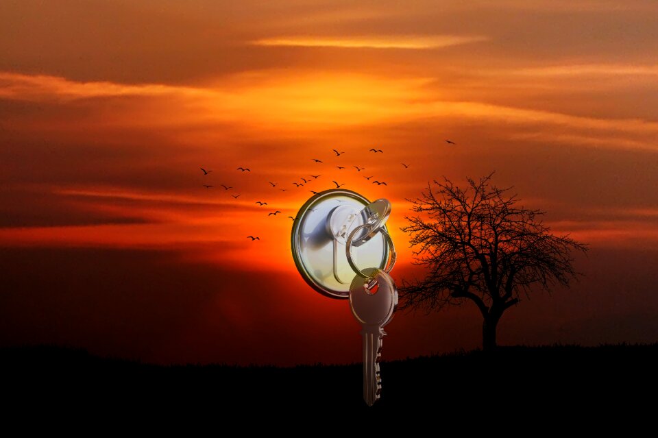 Abendstimmung nature mood