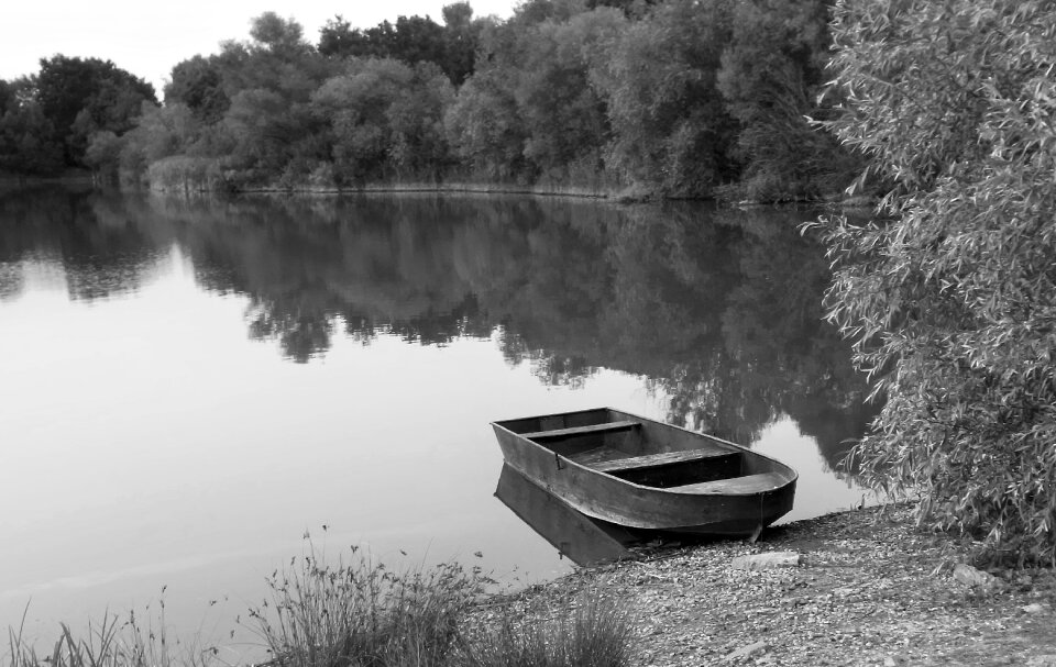 Boat forest mirroring