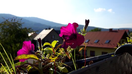 Balcony landscape holiday
