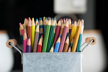 School children learn