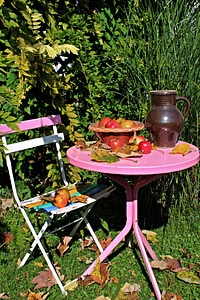 Apple harvest decorative