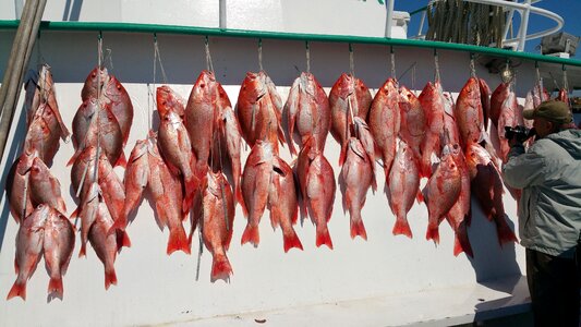 Boat sea