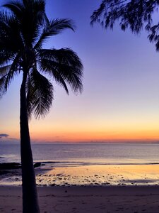 Beach landscape