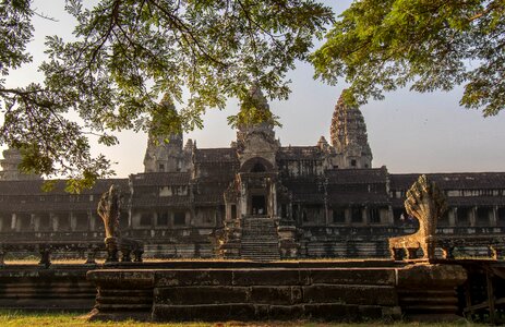 Nature temple siem reap photo