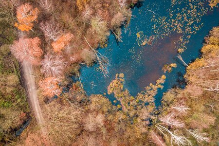 Autumn lake stupidity