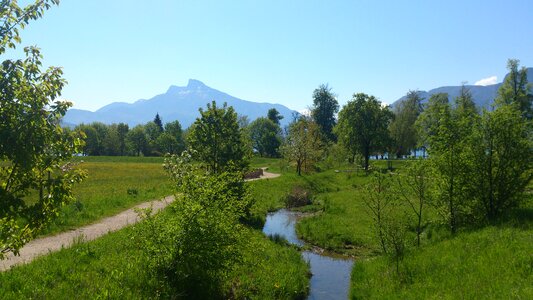 Austria landscape sheep mountain